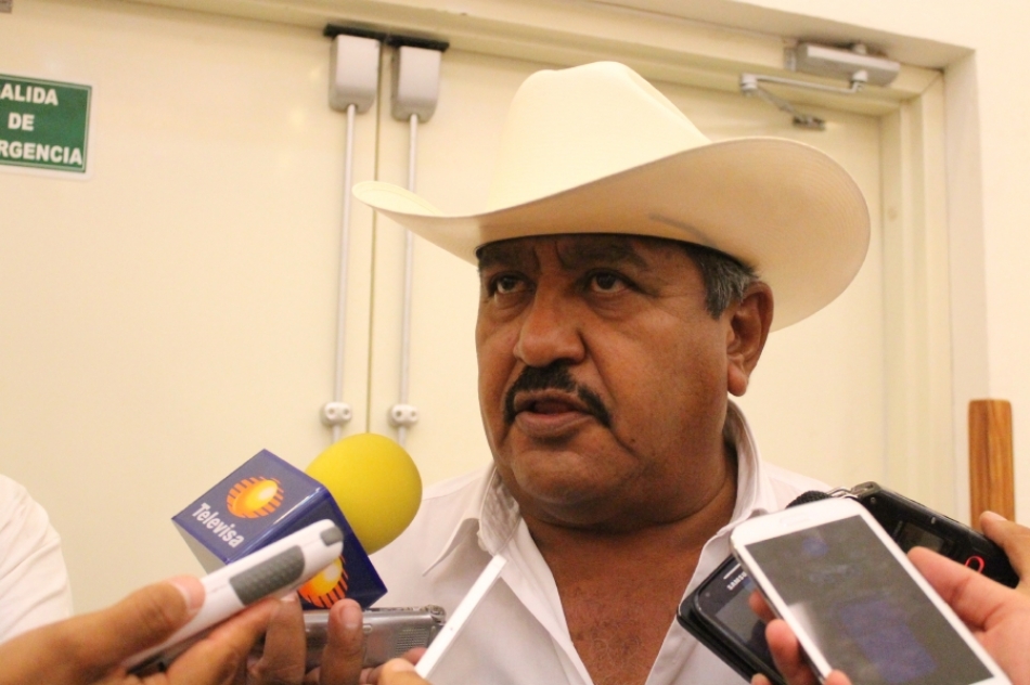 Piden a alcaldes comprar insecticida para combatir el pulgón amarillo