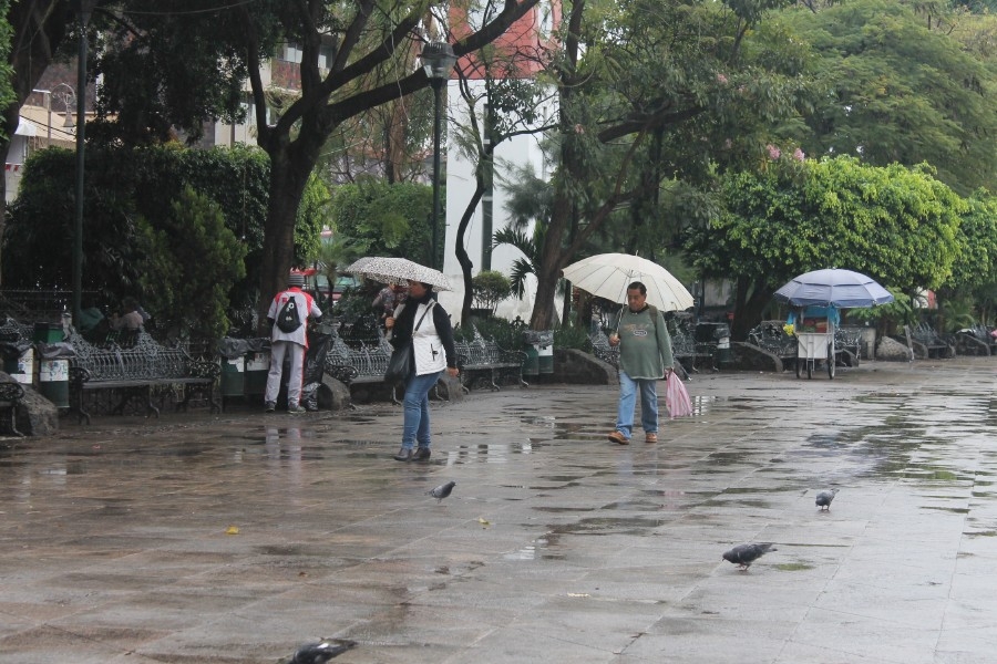 Locatarios avisan que impedirán remodelación del primer cuadro