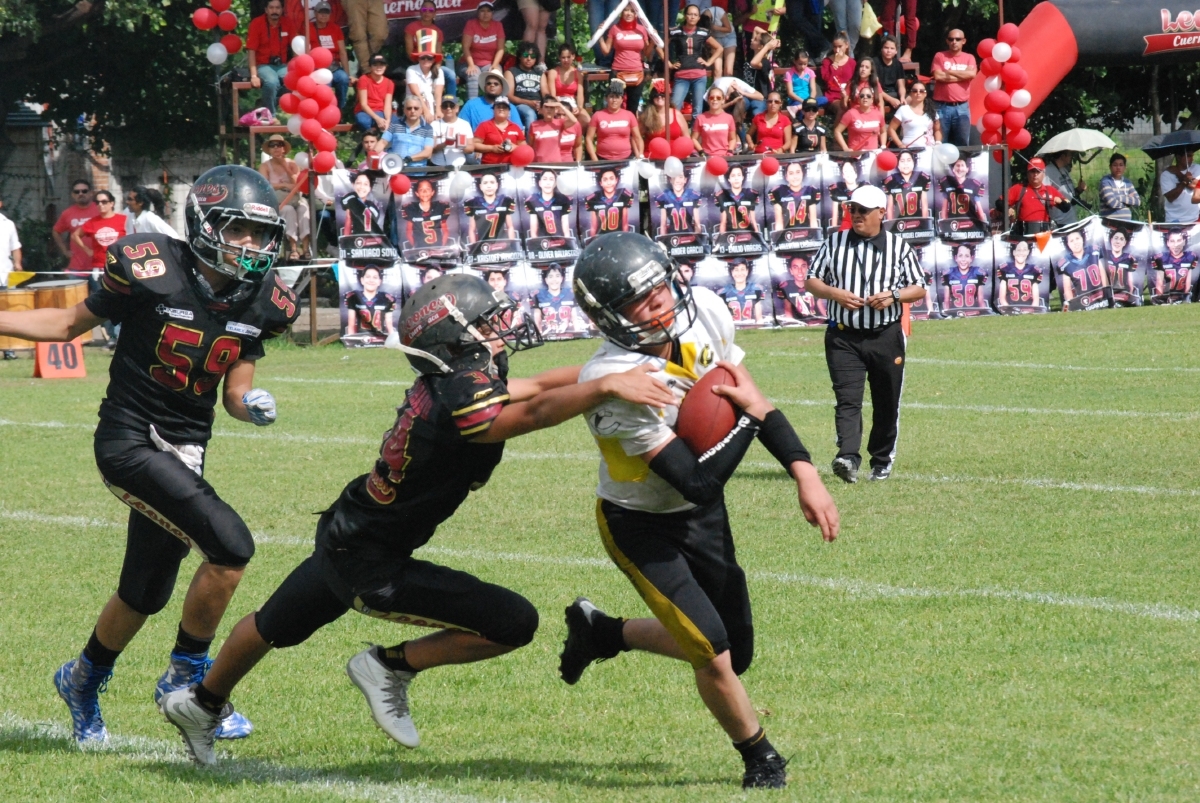 Doman a los Leones