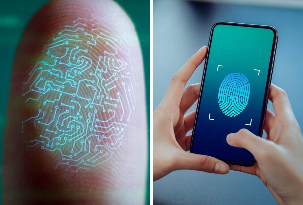 ¿Cómo ampararte contra el padrón de datos biométricos?