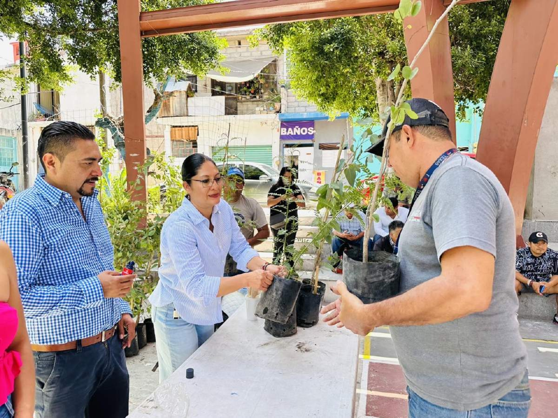 Canjean 600 árboles por llantas y pilas en desuso en Jojutla