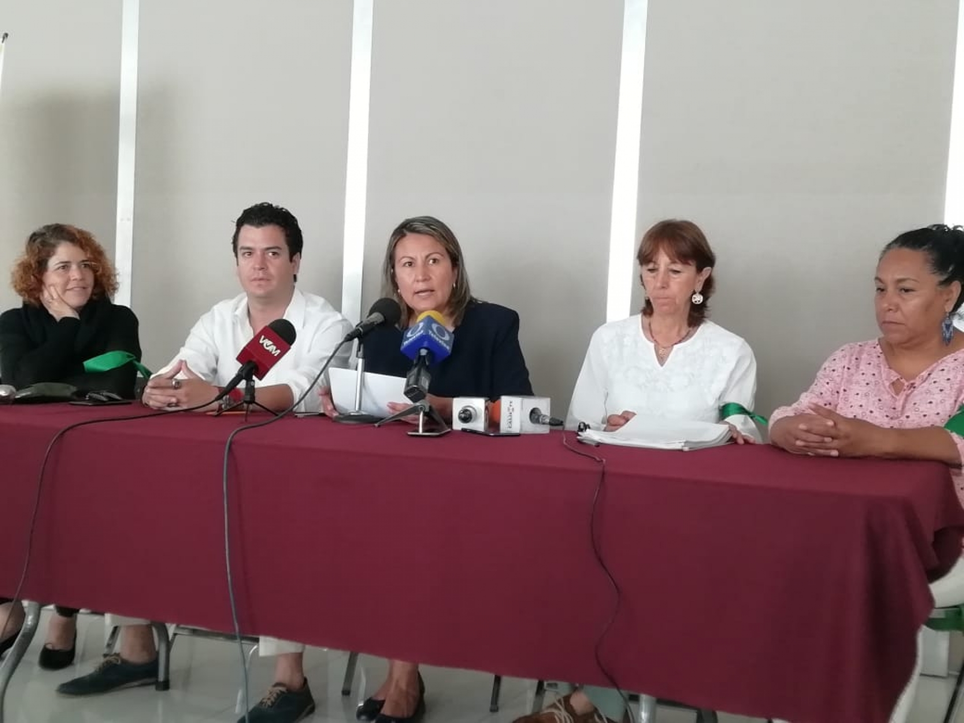 Presentan propuesta de ley para la protección y conservación de árboles urbanos