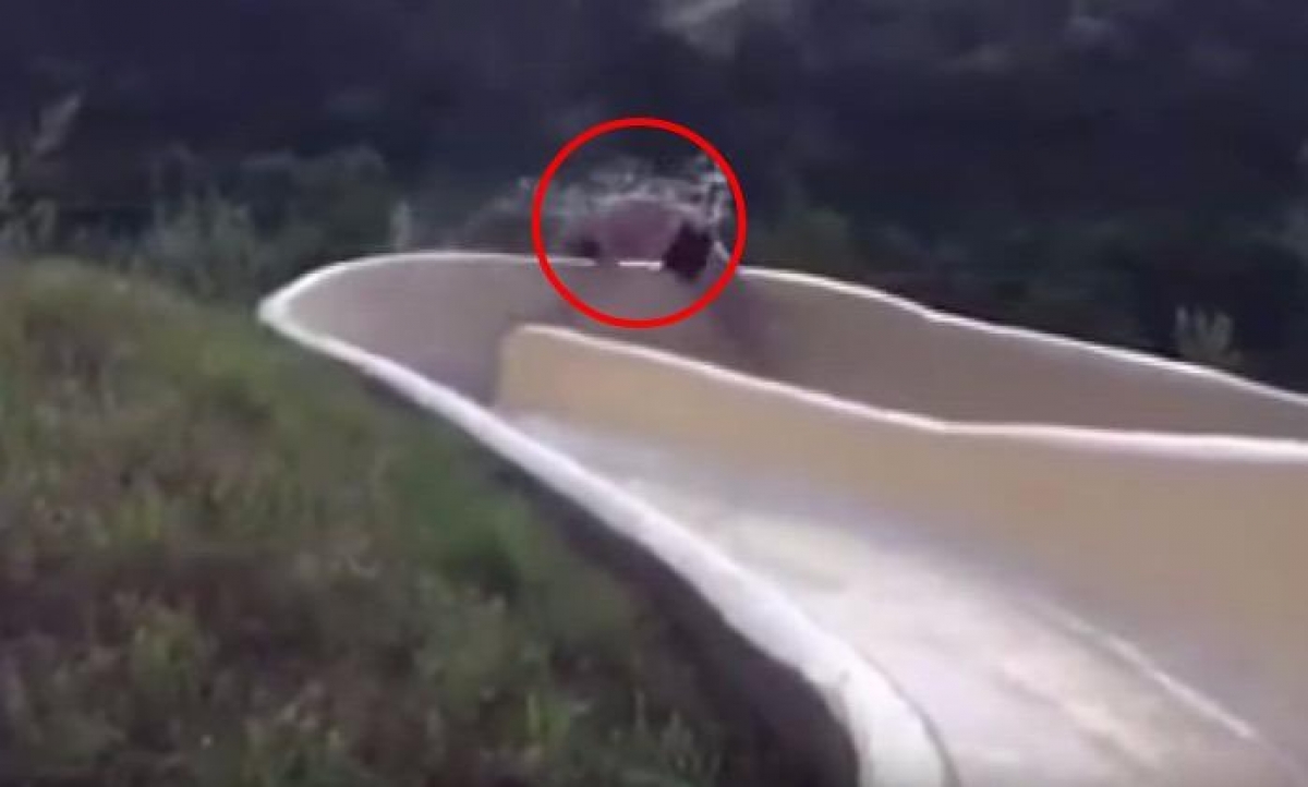 Después de ver esto, no querrás subir a un tobogán