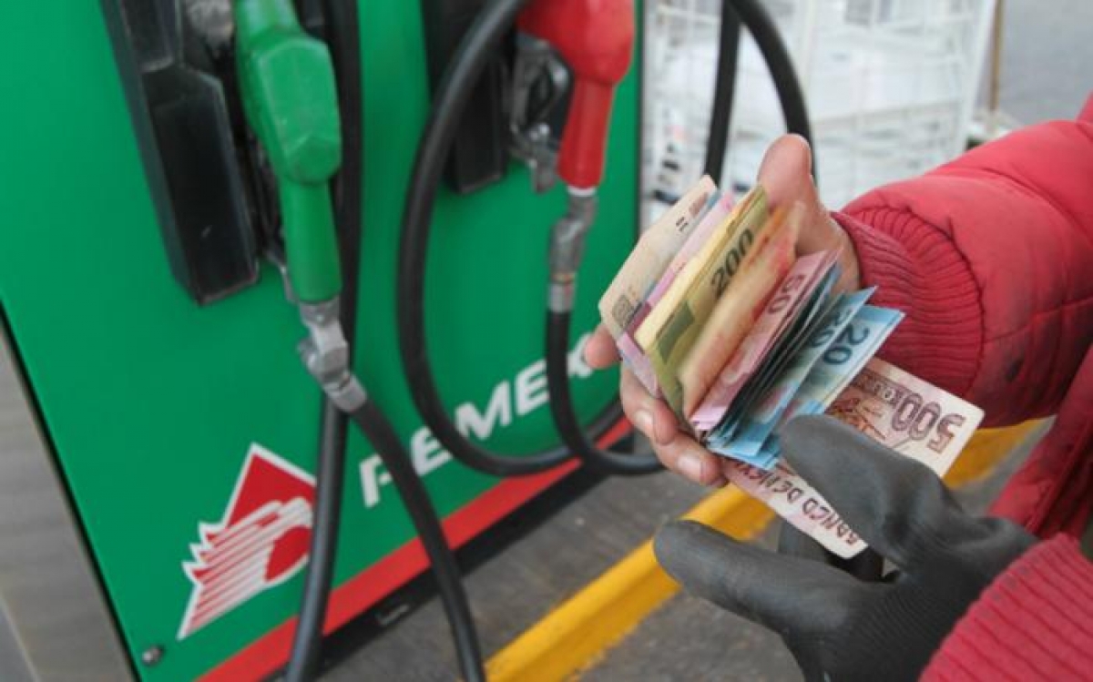 La liberalización de los precios del combustible se realizará en cinco fases