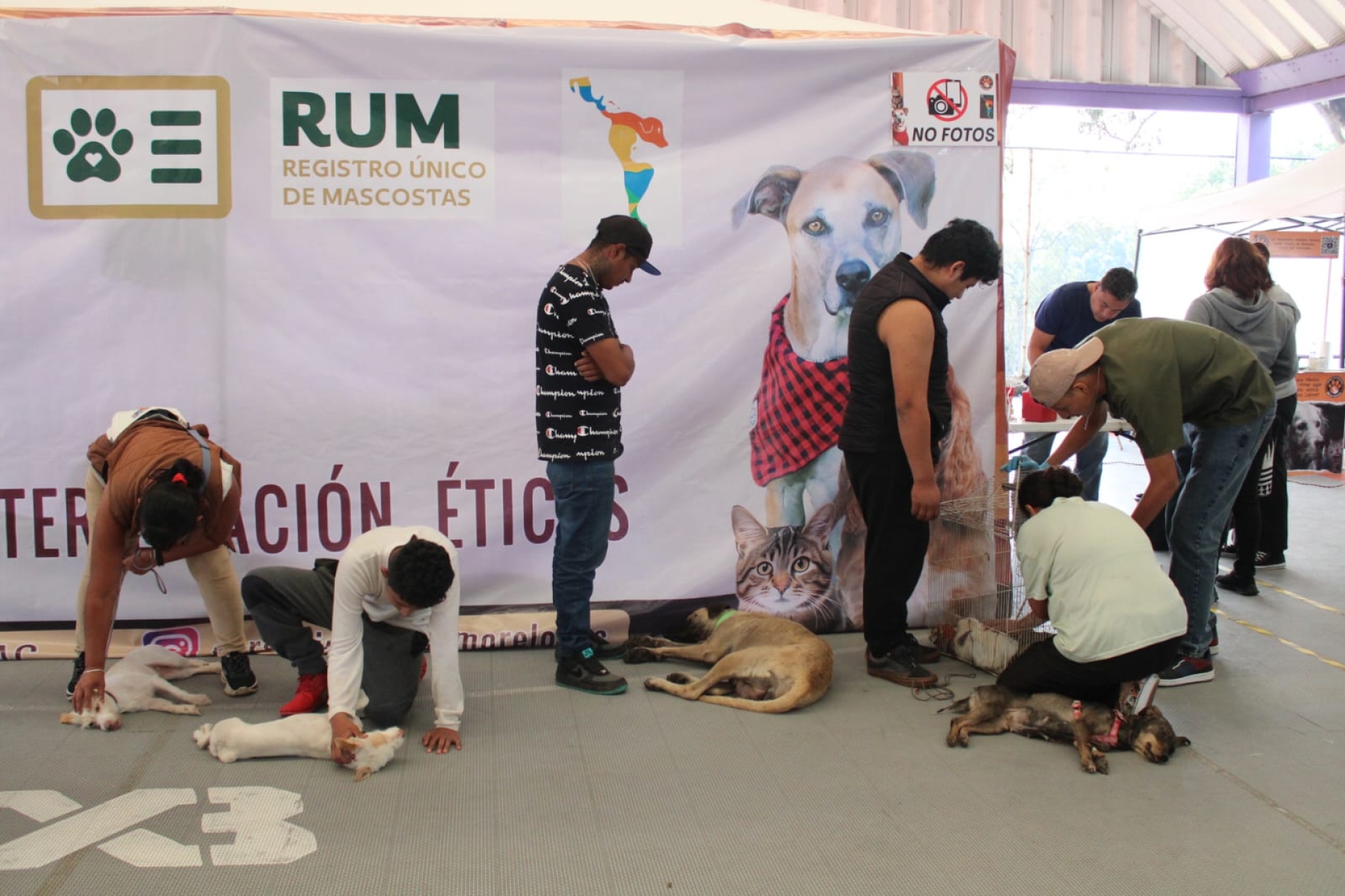 Encabeza edil capitalino campaña masiva de esterilización de perros y gatos en UD 'El Centenario'