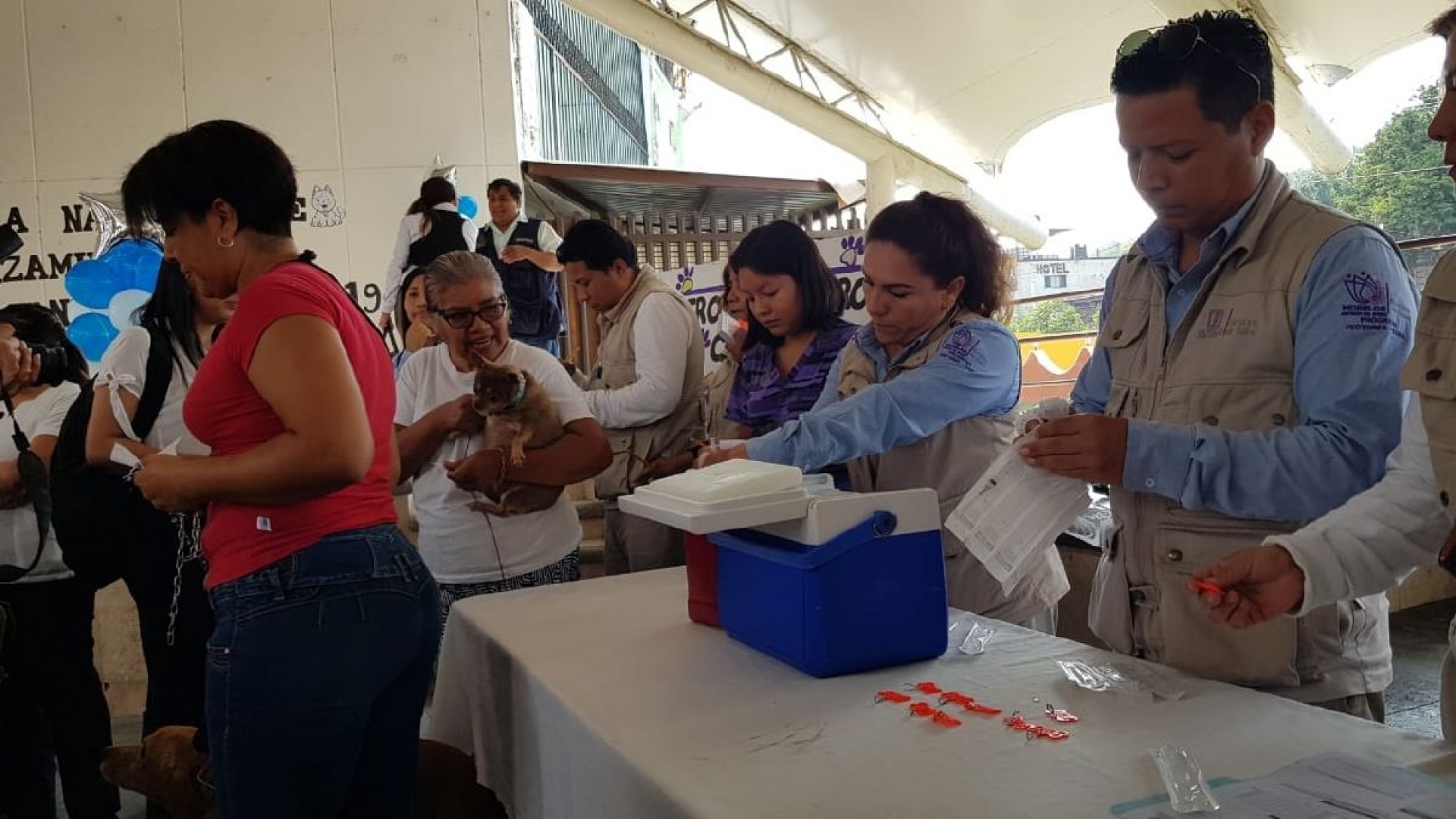 Inicia la Semana Nacional del Reforzamiento de Vacunación Antirrábica