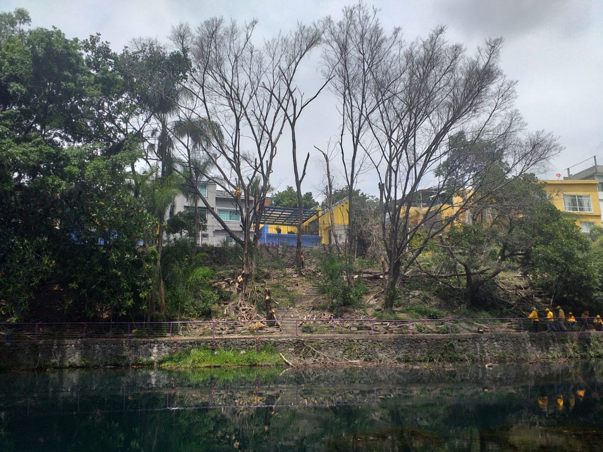 Realiza SDS trabajos fitosanitarios en el parque barranca Chapultepec