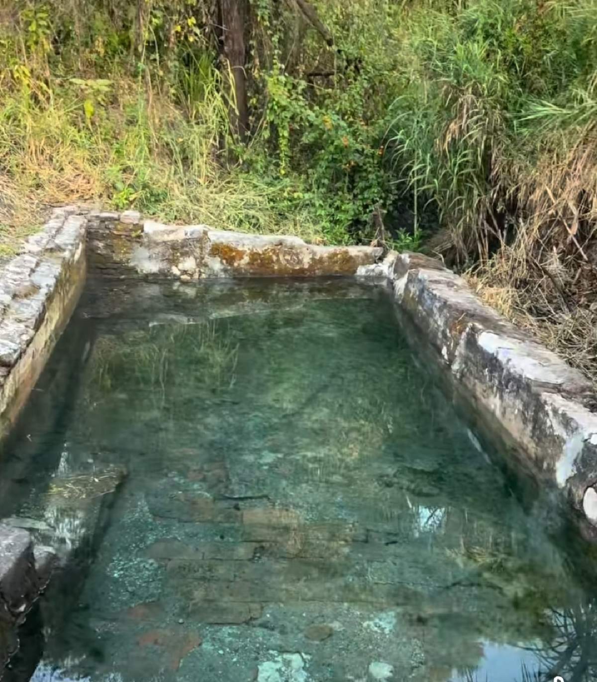 Recuperan al 100% manantial de San Gabriel Las Palmas