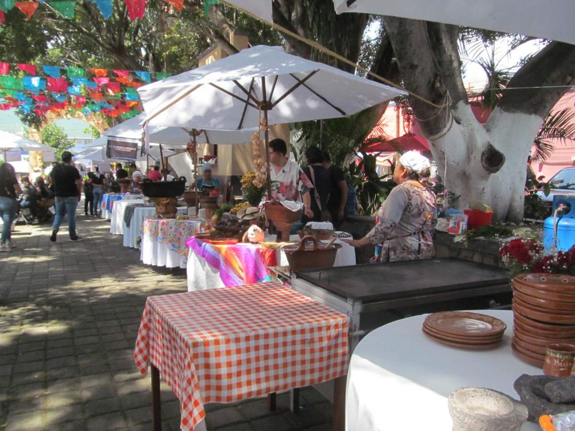 Inicia programa vacacional de verano en Tlaltizapán