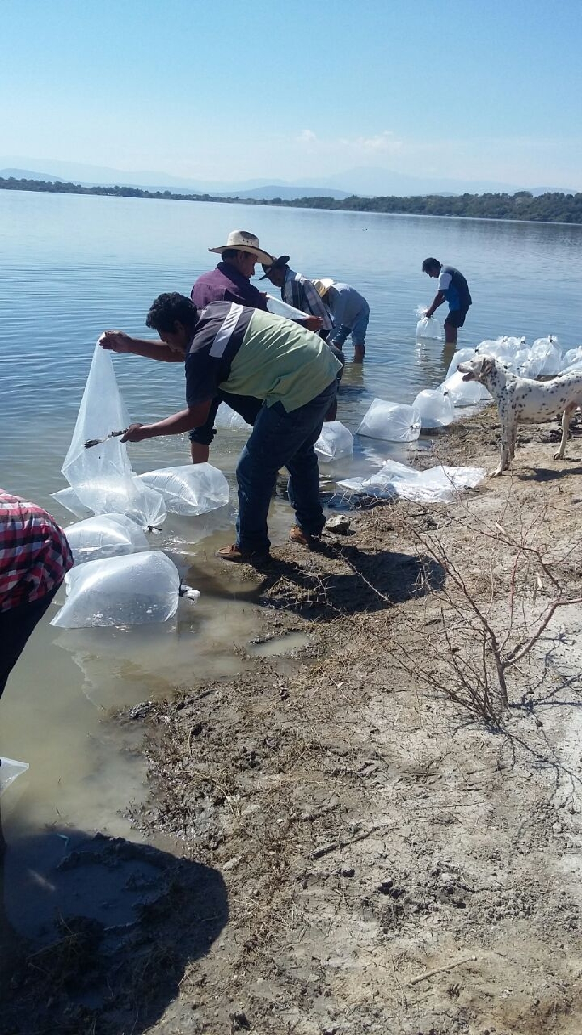 2016, un año difícil para pescadores de Miacatlán