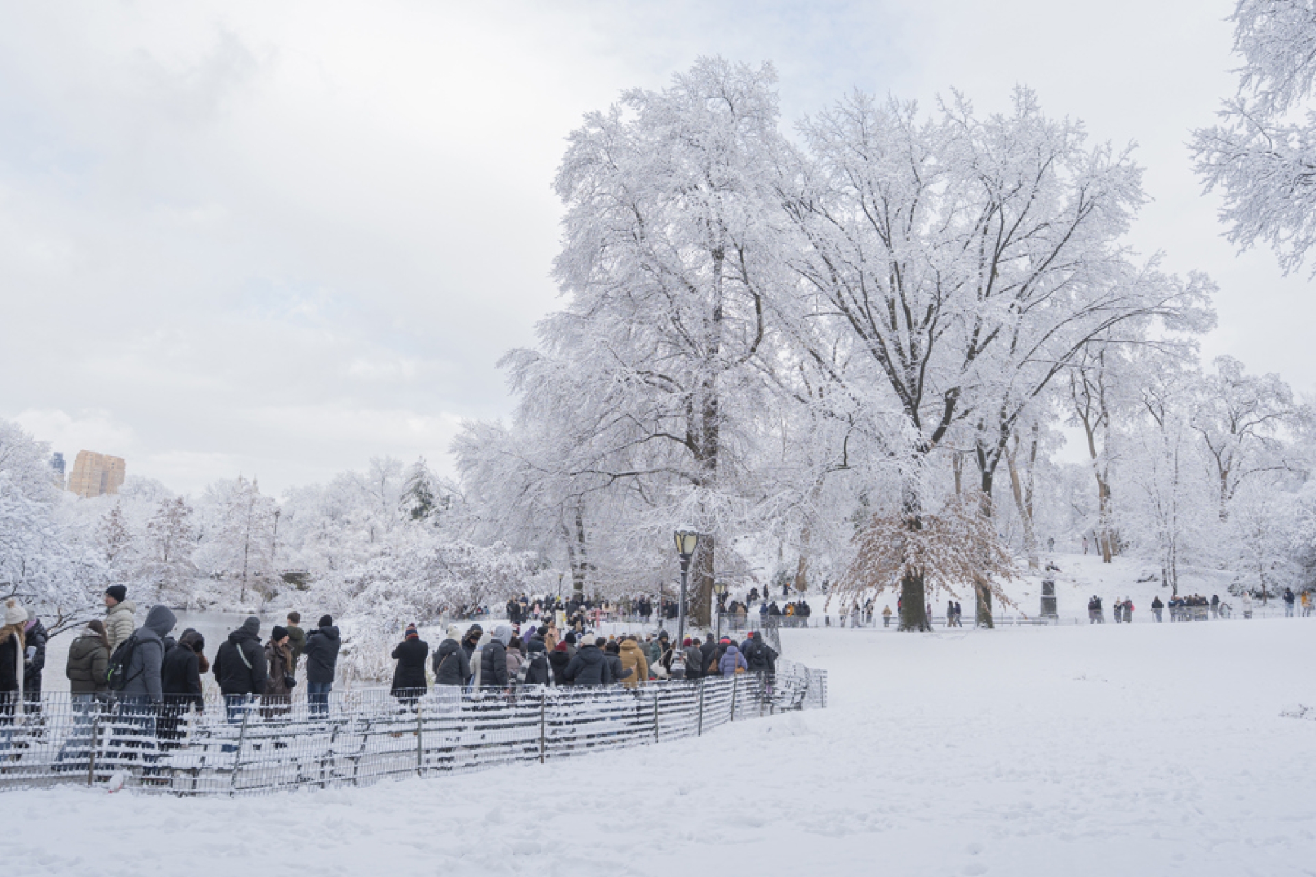 Nueva York amanece cubierta de nieve con la primera tormenta invernal