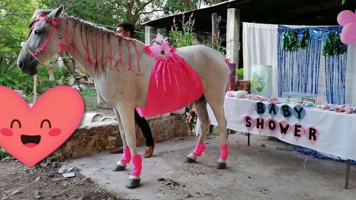 Familia celebra "Baby Shower" de su yegua embarazada