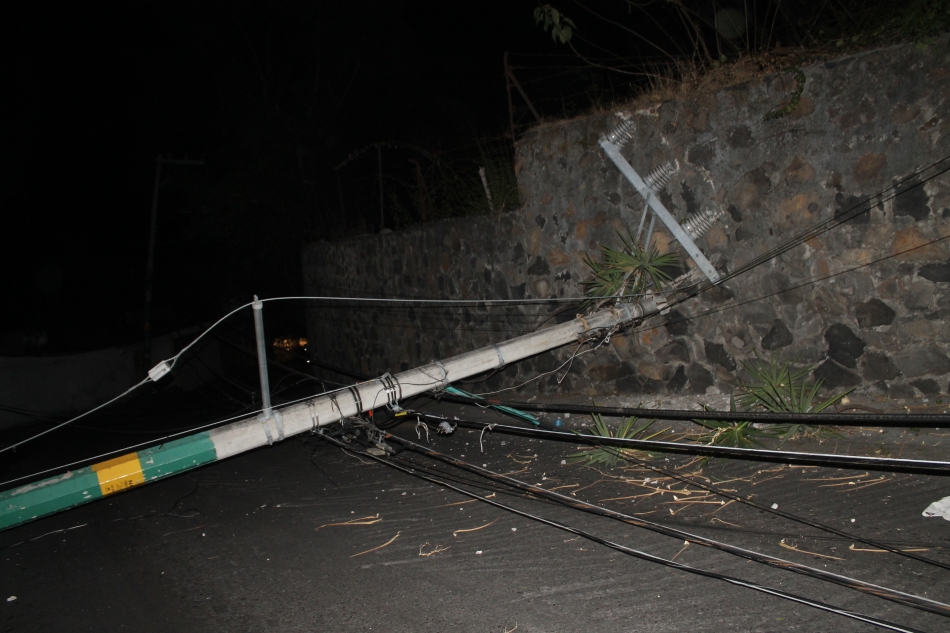 Un arbol provocó daños en la avenida Rufino Tamayo