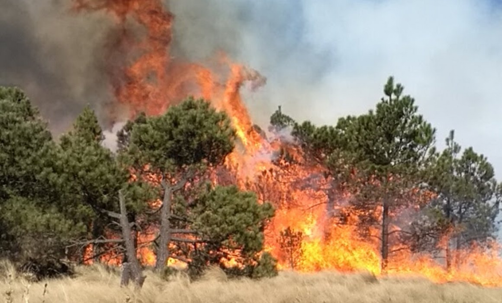 Alertan contra ola de incendios que puede provocar la sequía