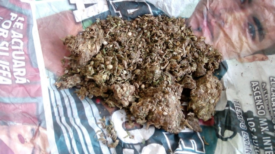 Sorprenden a tres personas con droga en la zona oriente