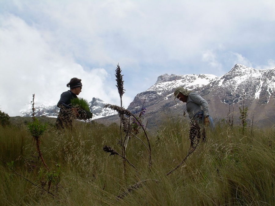 El parque Izta-Popo difunde estudios realizados en la zona del Popocatépetl