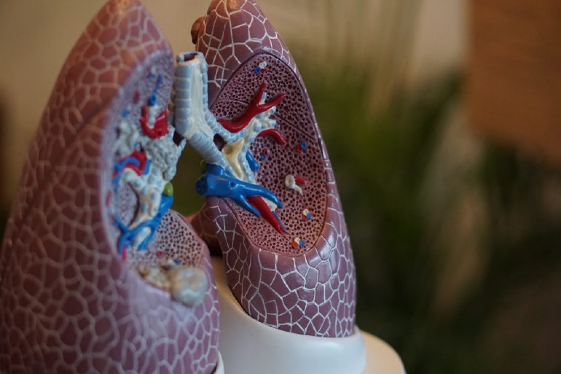 ¿Cómo ataca el Coronavirus a los Pulmones?