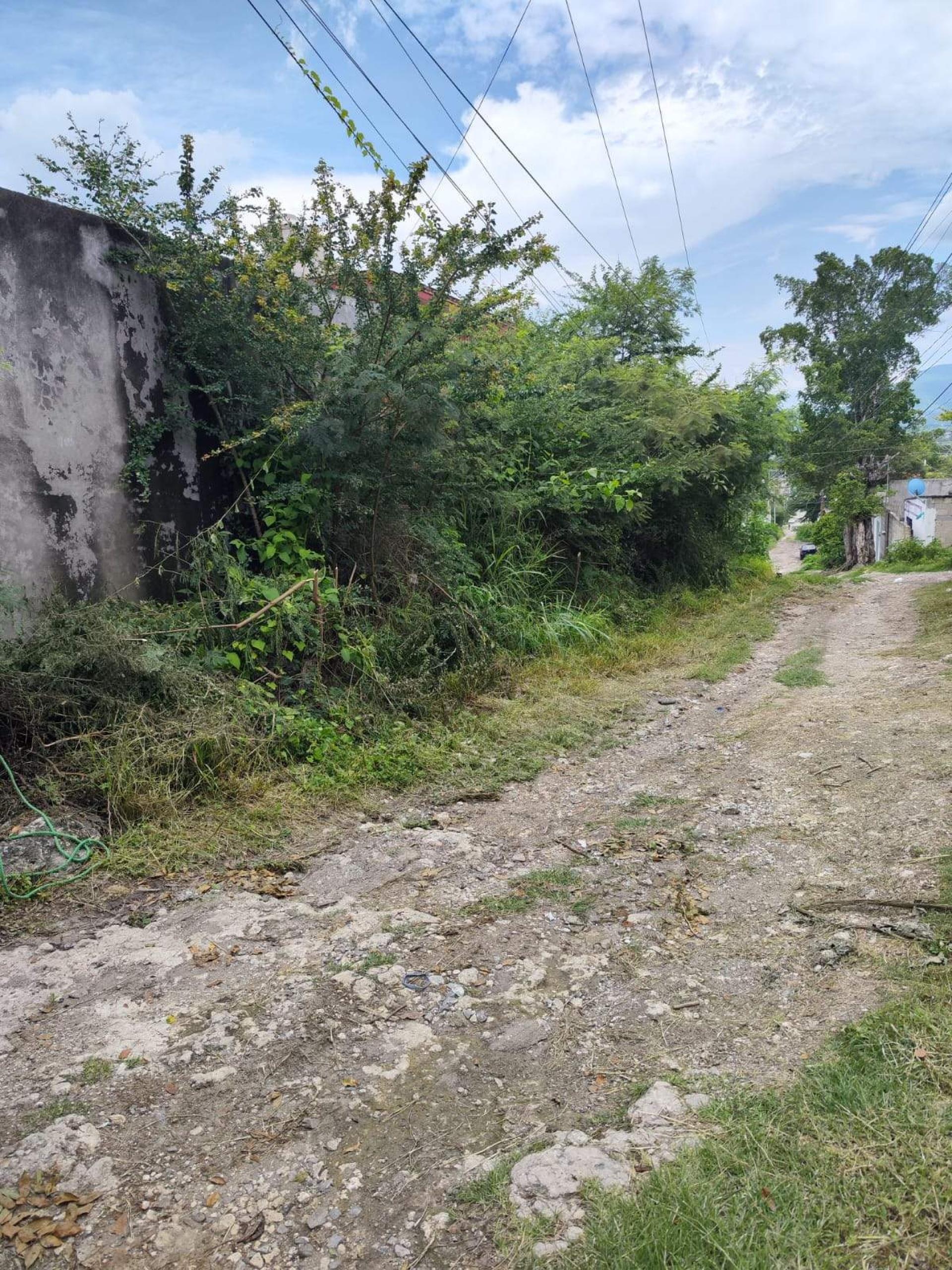 Abandonados, casi la mitad de predios en colonia de Zacatepec