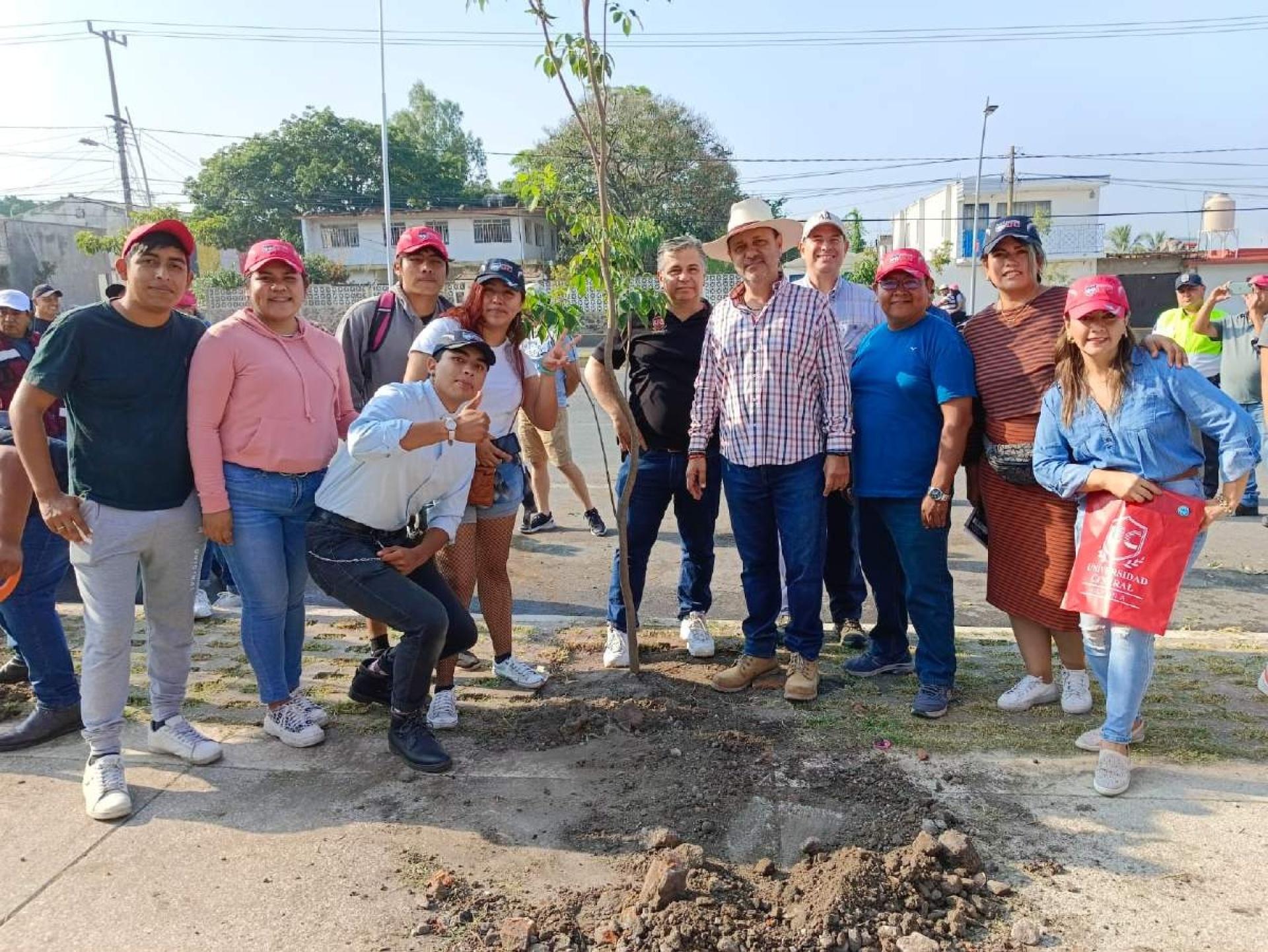 Continúa la reforestación de la carretera federal México-Oaxaca