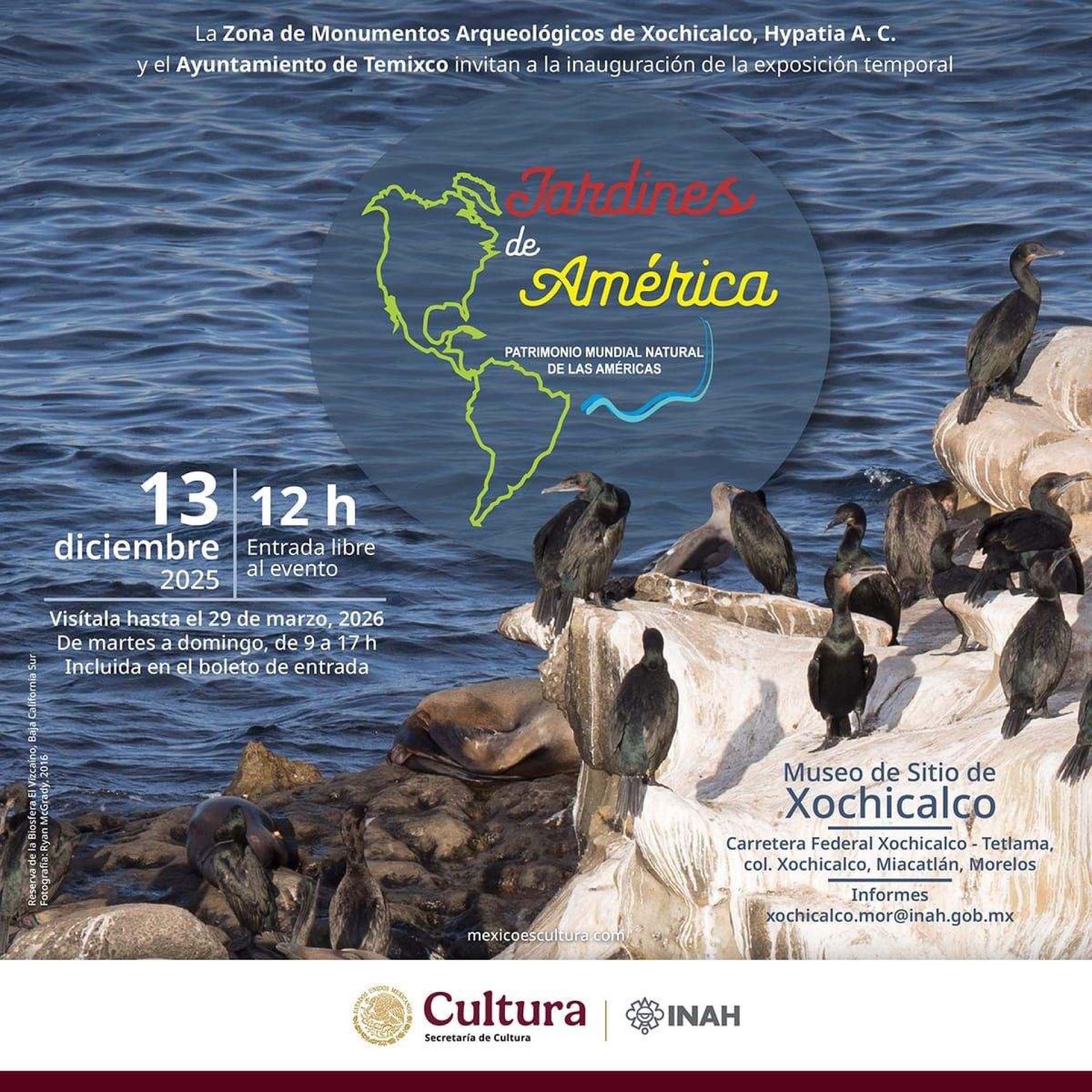 Inaugurarán exposición “Jardines de América” en museo de Xochicalco