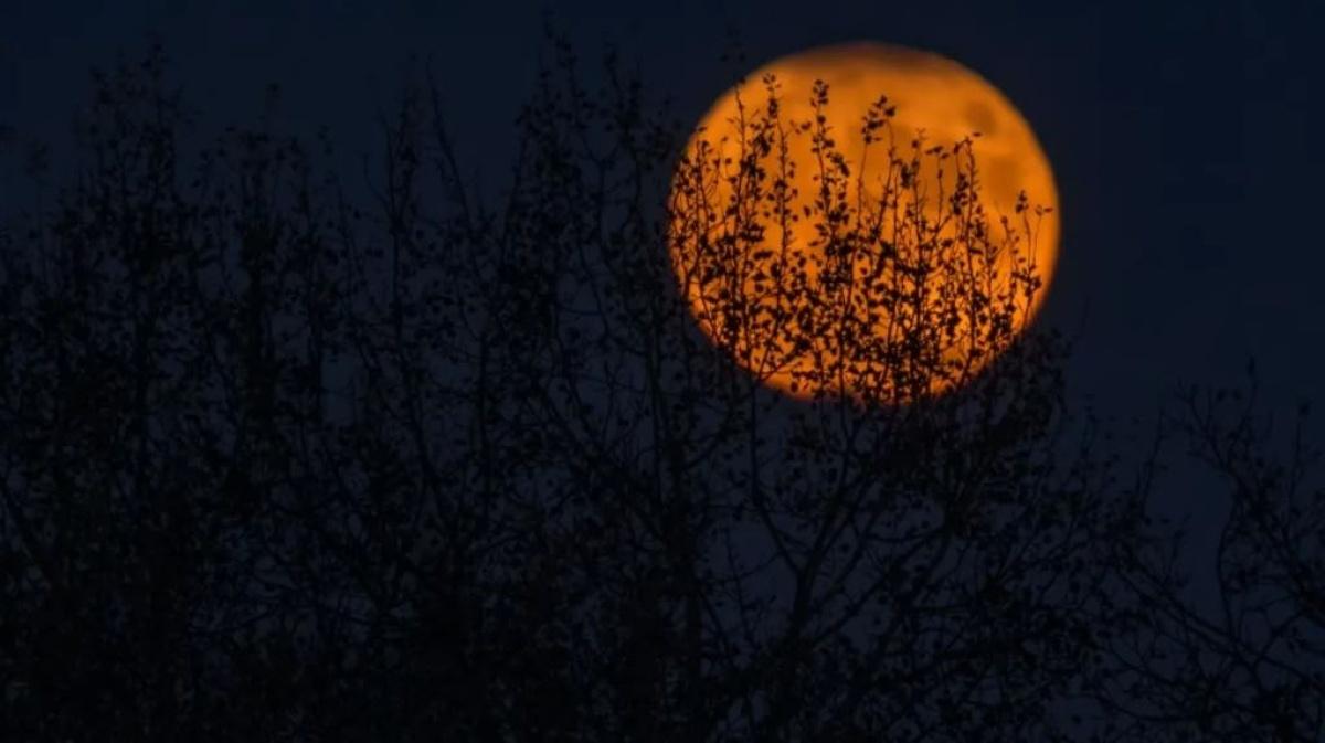 Samhain, la oscura celebración celta de otoño que le dio origen a Halloween
