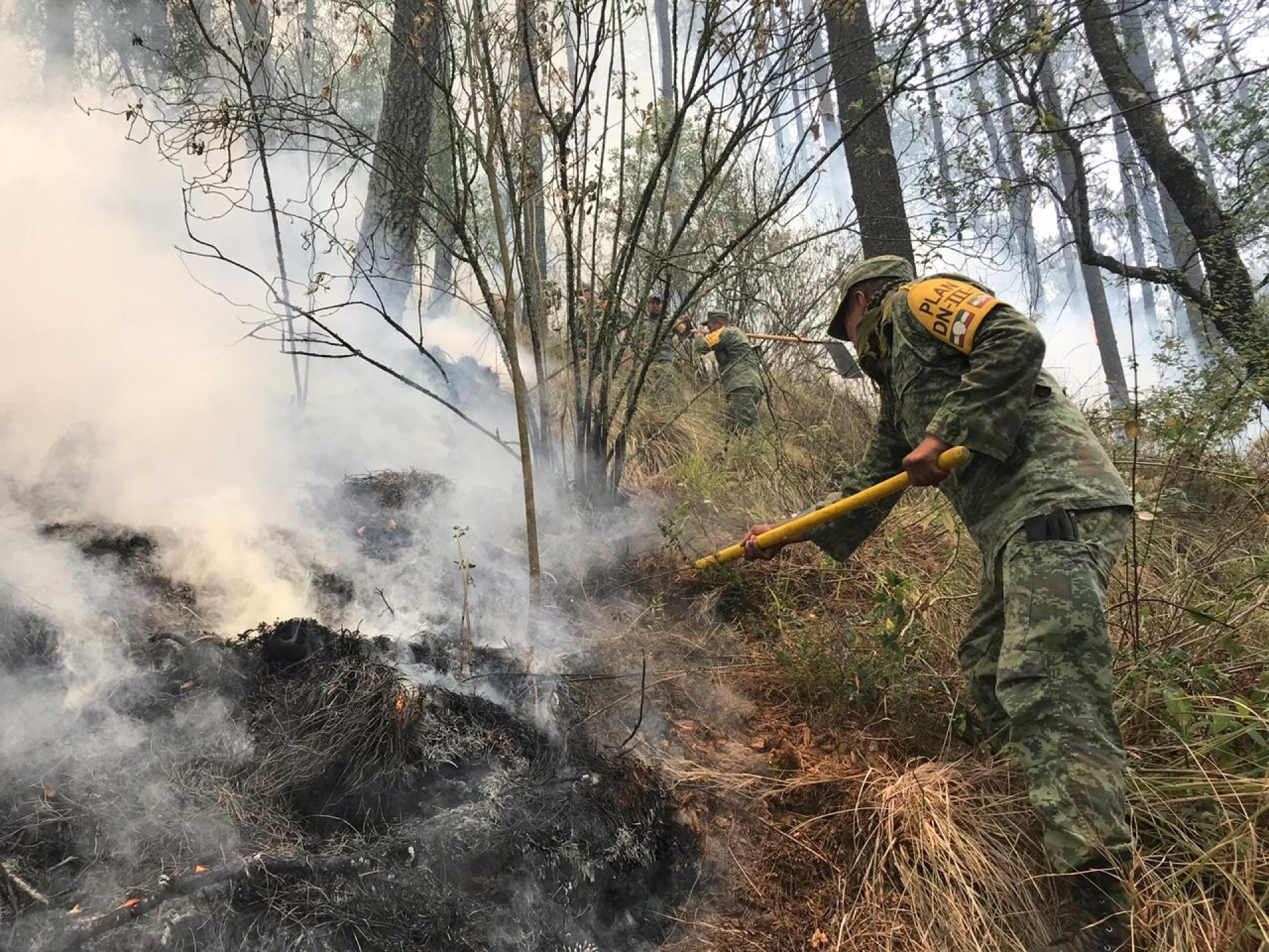 Participó personal militar en tareas para sofocar incendio en cerro 'Tesoyo'