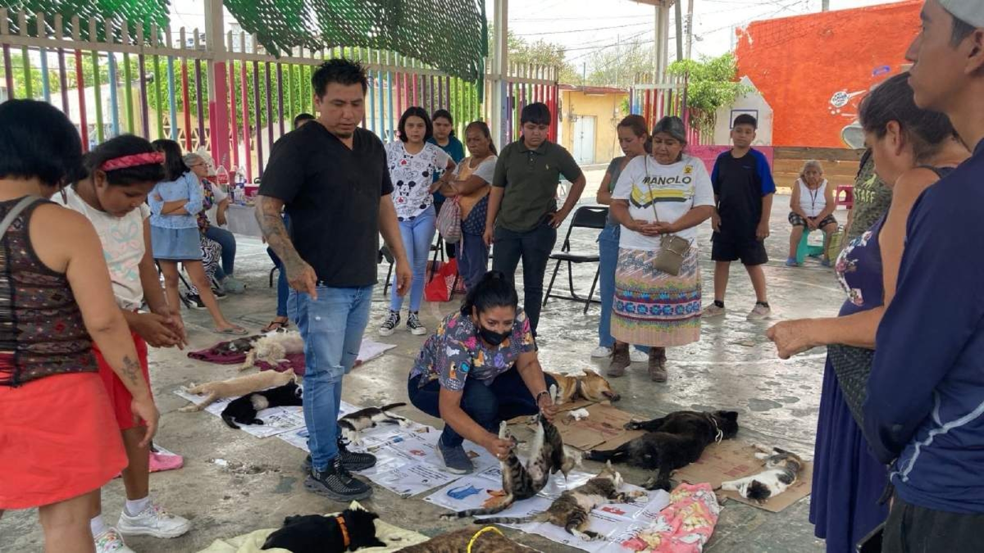 Realizan campaña de esterilización de mascotas en Yautepec