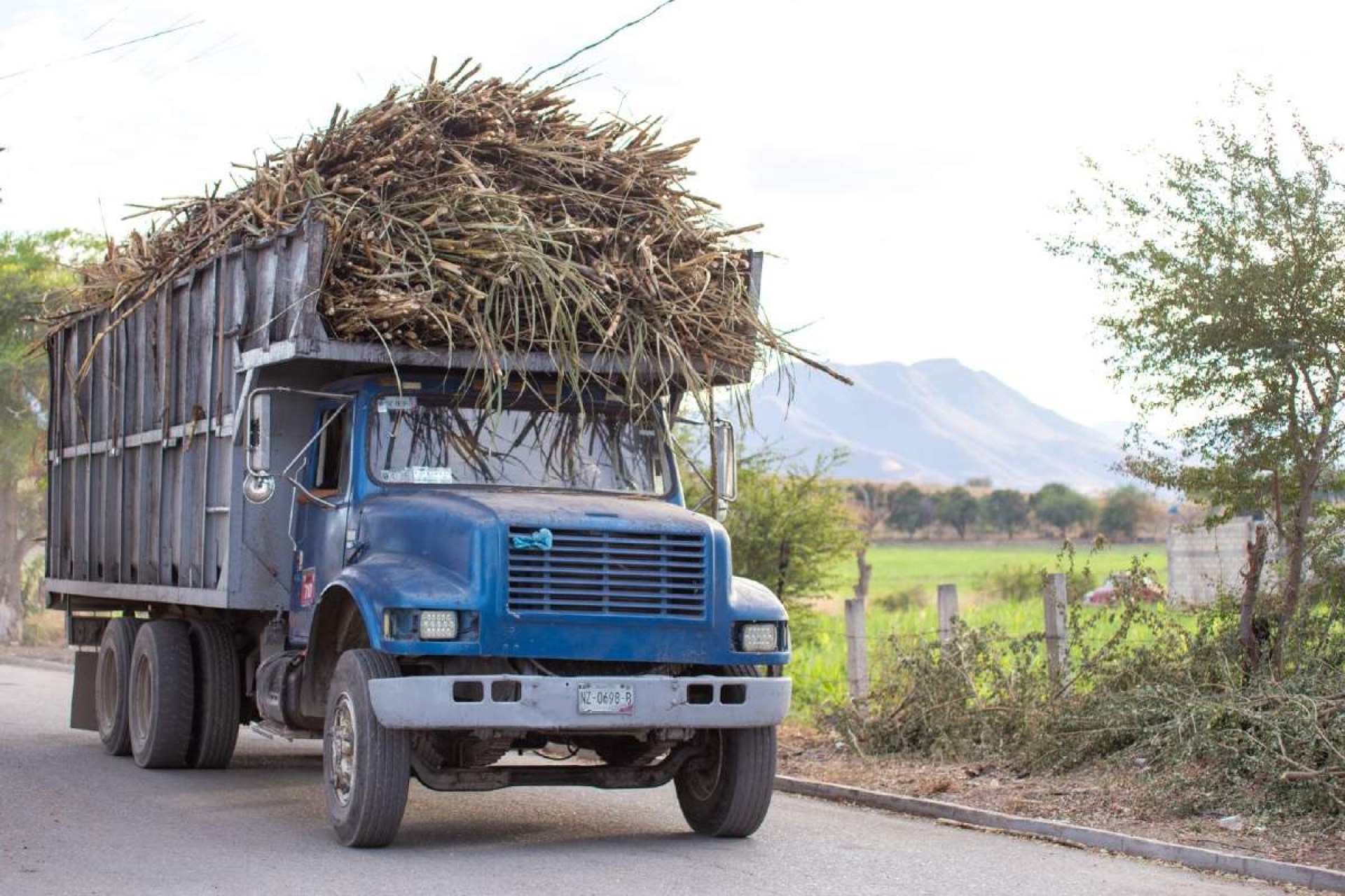 Por falta de agua, baja la producción de azúcar en el país: CNPR