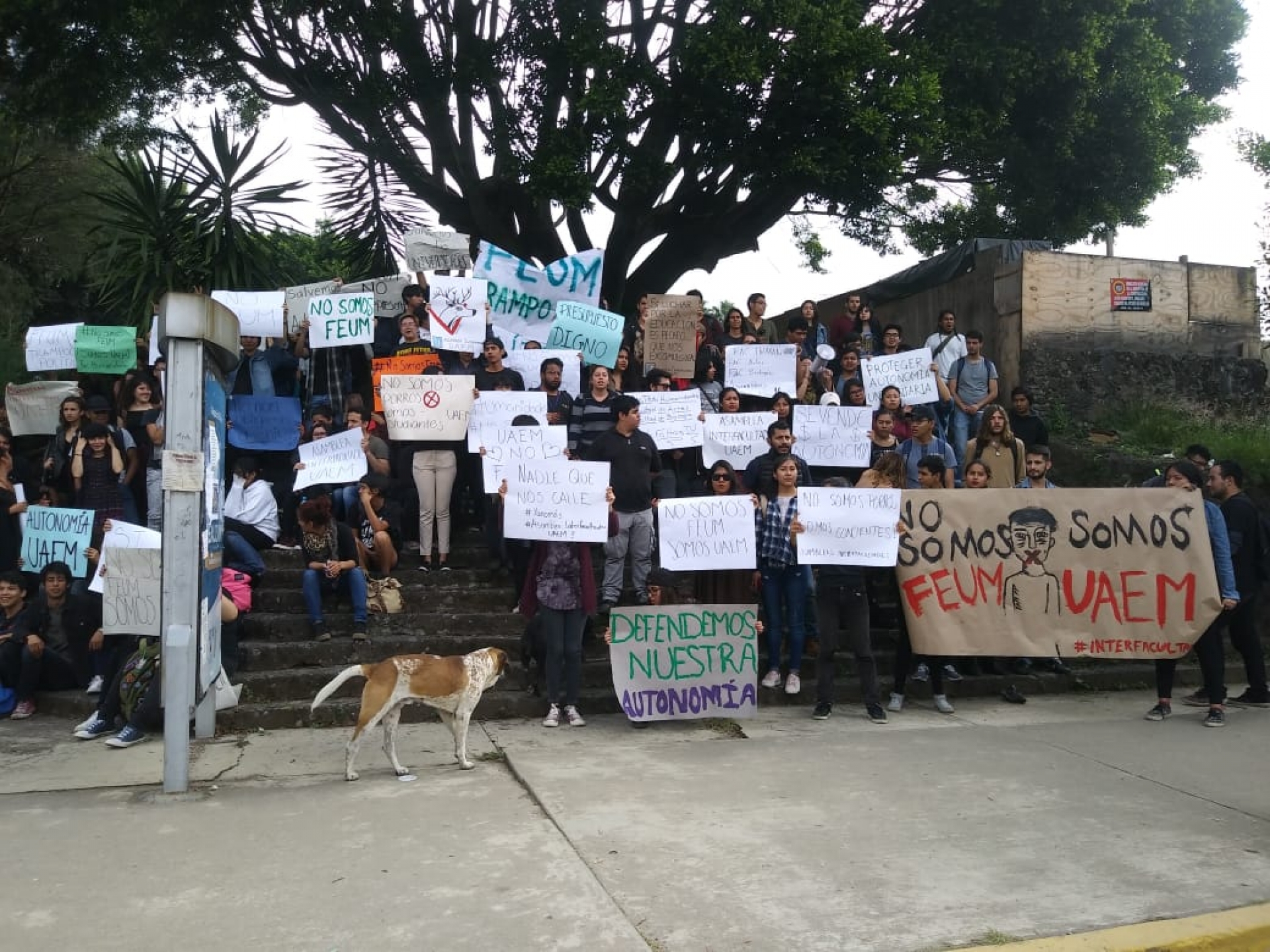 Se manifiestan integrantes de la Asamblea Interfacultades