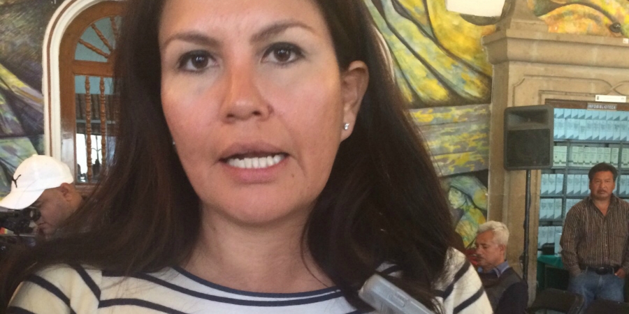 Rechaza diputada que el Congreso avale rescate financiero de municipios el próximo año