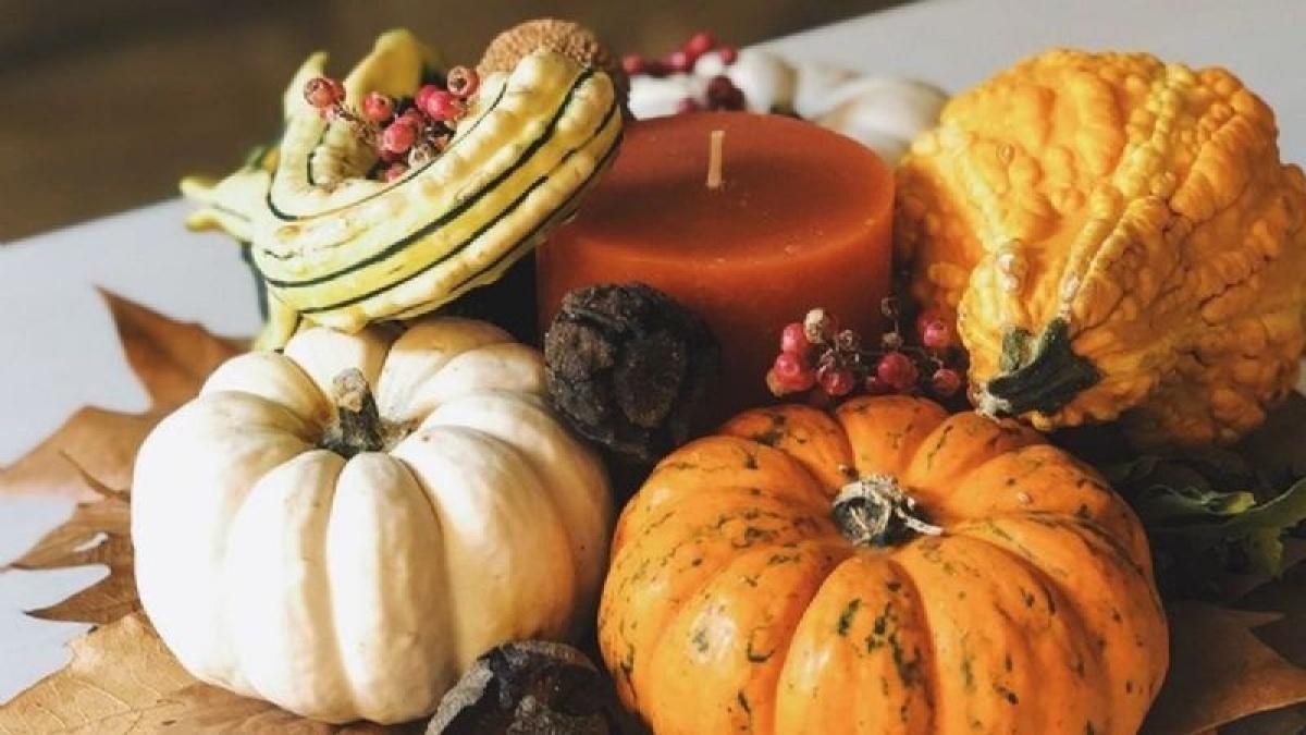 ¿Cómo hacer un centro de mesa con calabazas y hojas de otoño?