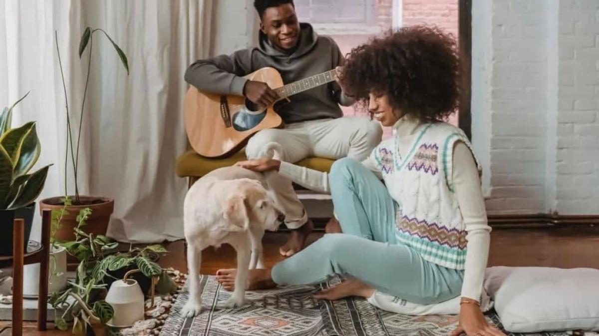 Sí puedes tener tapetes y perros: Cómo elegir y cuidar las alfombras con mascotas en casa