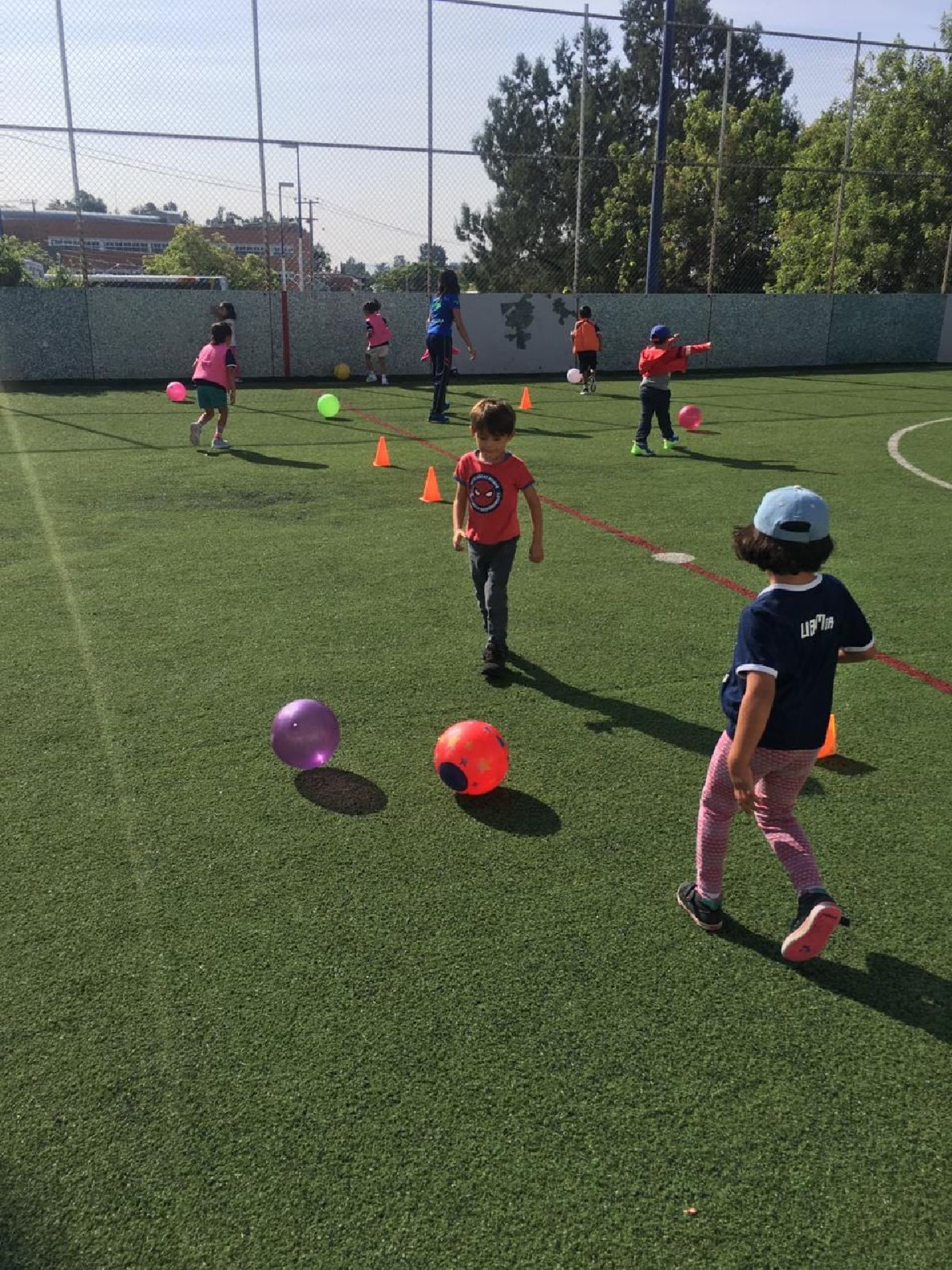 Arranca Curso de Verano Venaditos 2019
