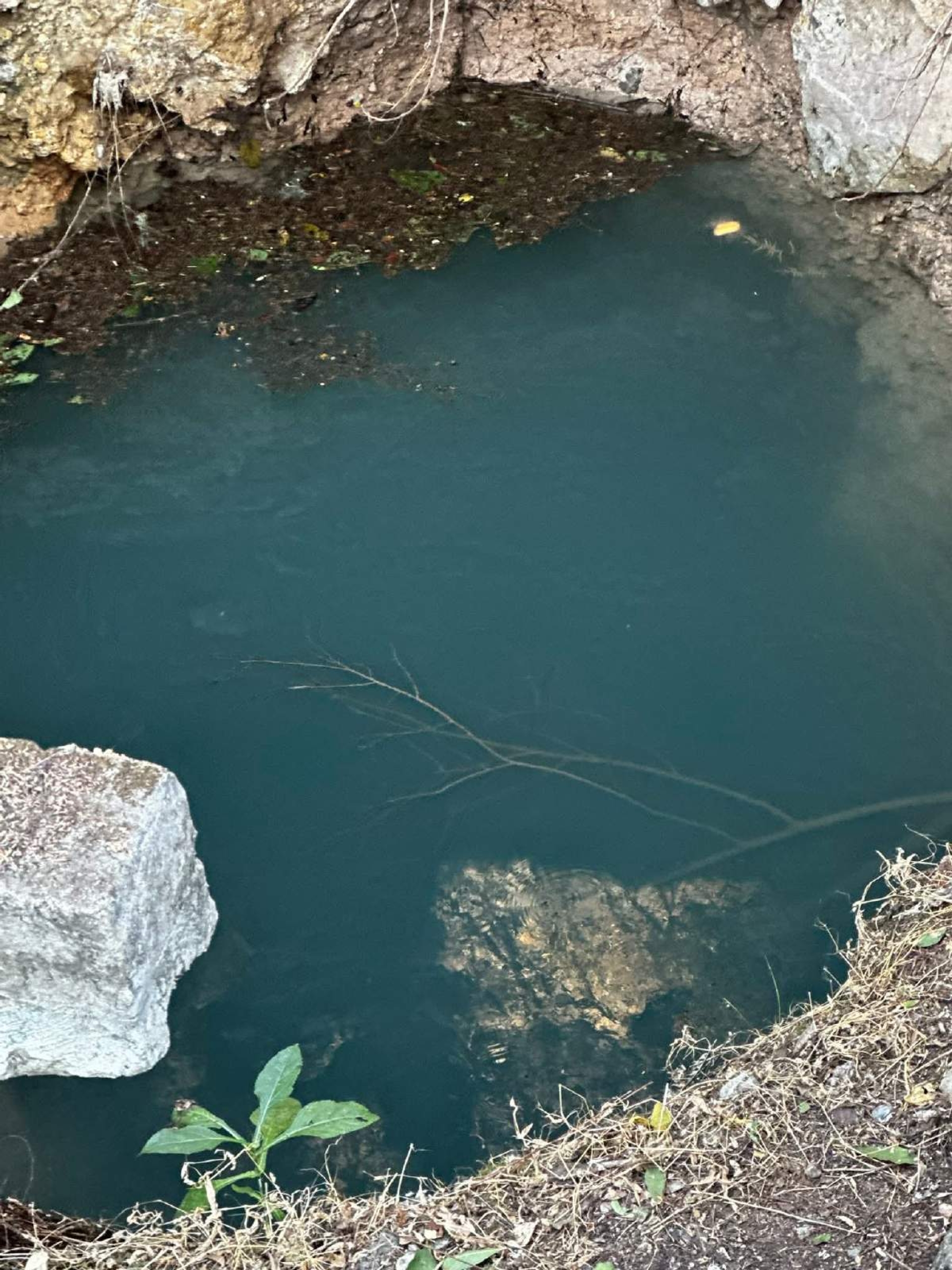 Tras ocho años de sequía, resurge manantial en Mazatepec