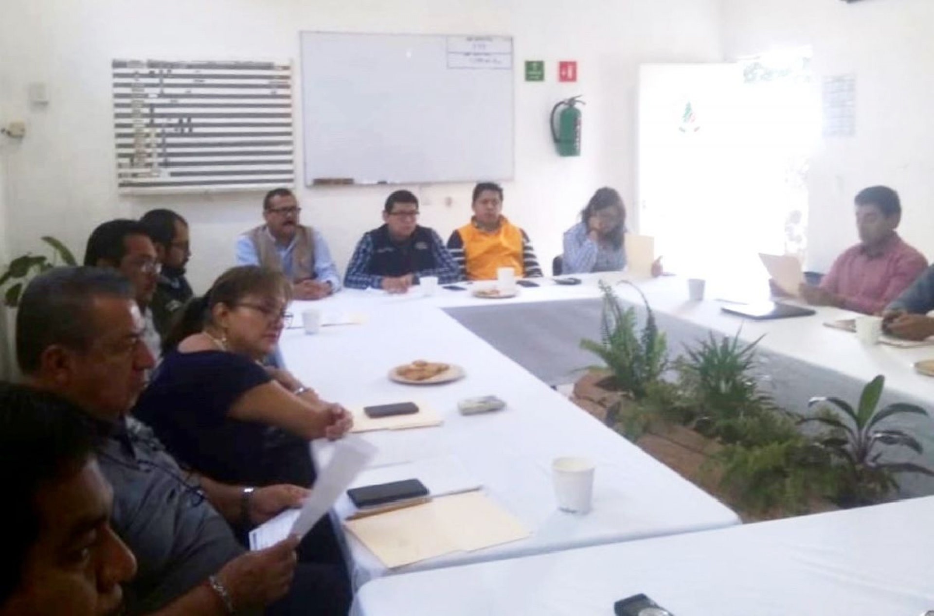 Vigilan en temas ambientales la actividad del Popocatépetl