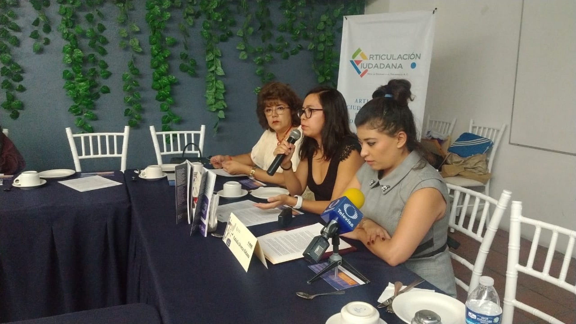 Refiere Articulación Ciudadana documentación de casos de violencia política hacia mujeres