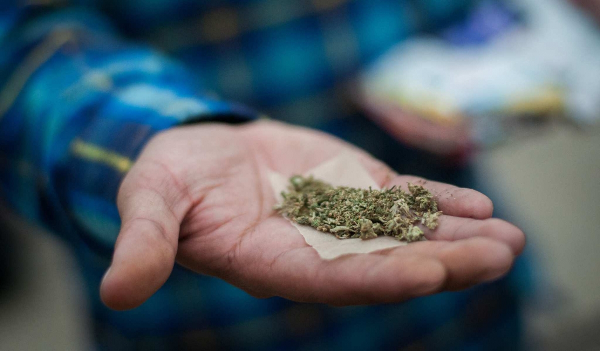 La Cámara de Diputados aprueba el uso de la marihuana medicinal en México