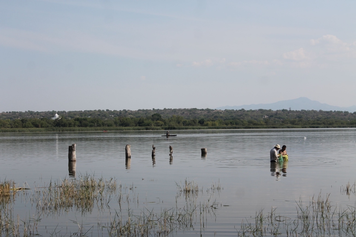 Hasta el próximo año buscarán recursos para solucionar contaminación en la laguna de Coatetelco