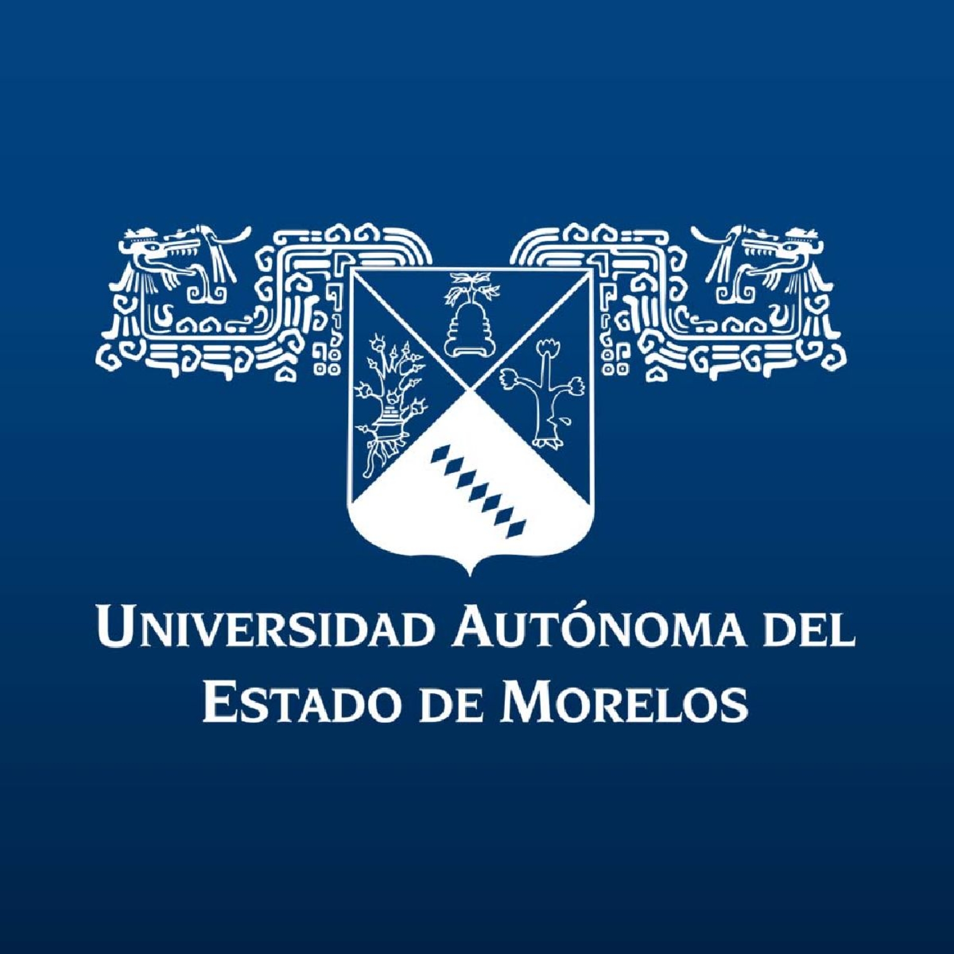 Celebra hoy UAEM primer Consejo Universitario a distancia