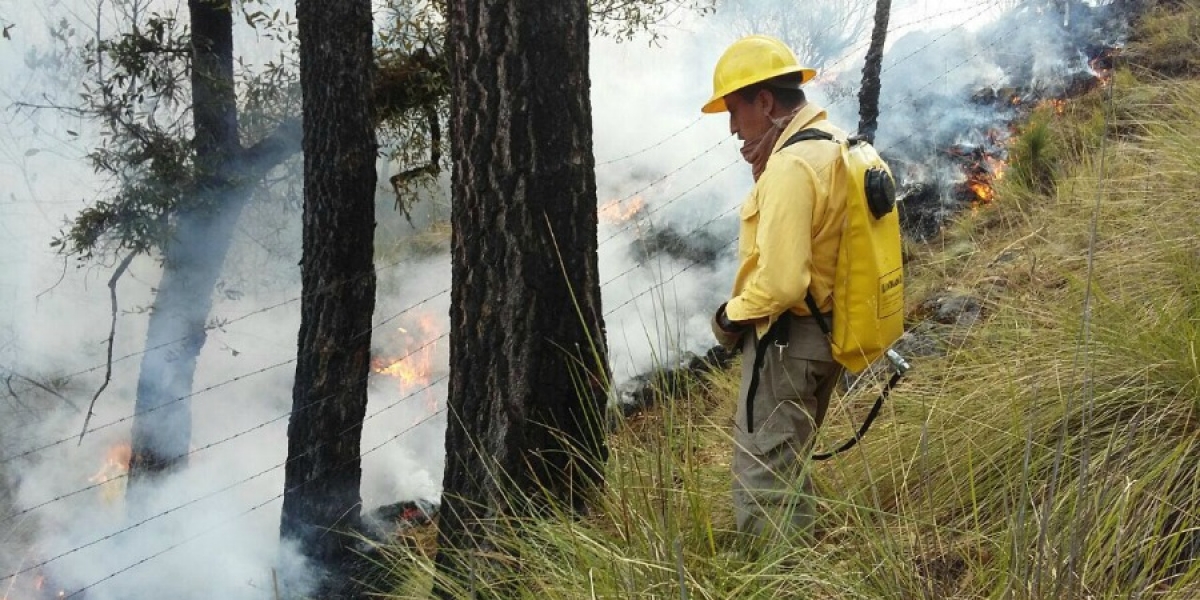 Combaten brigadistas tres incendios forestales en Cuernavaca, Tepoztlán y Tetela del Volcán