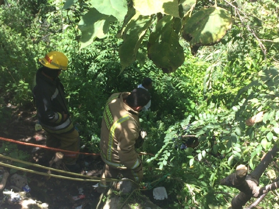 Sufrió heridas graves al caer a una barranca
