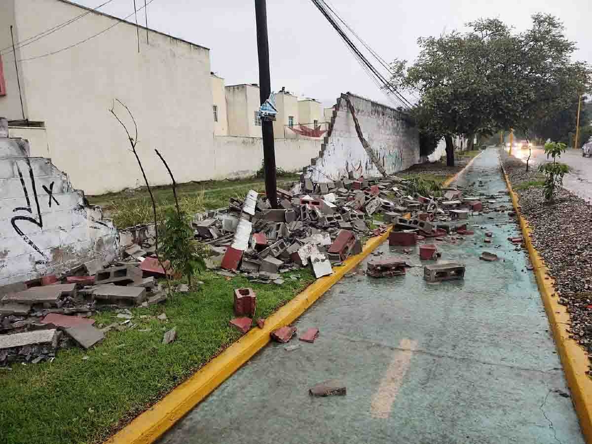 Lluvia y viento derriban más de diez árboles en Yautepec