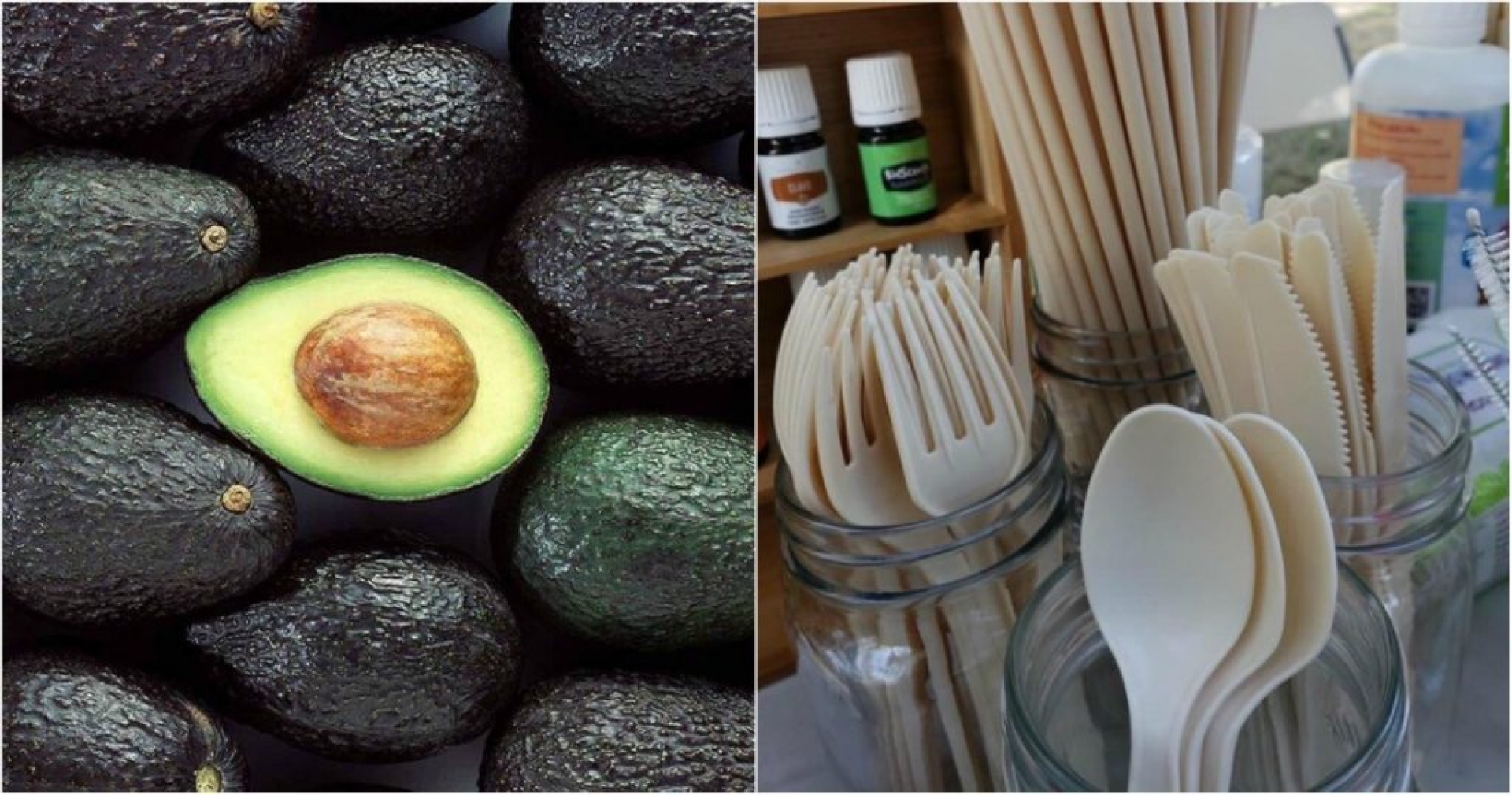 Compañía mexicana transforma huesos de aguacates en popotes y utensilios