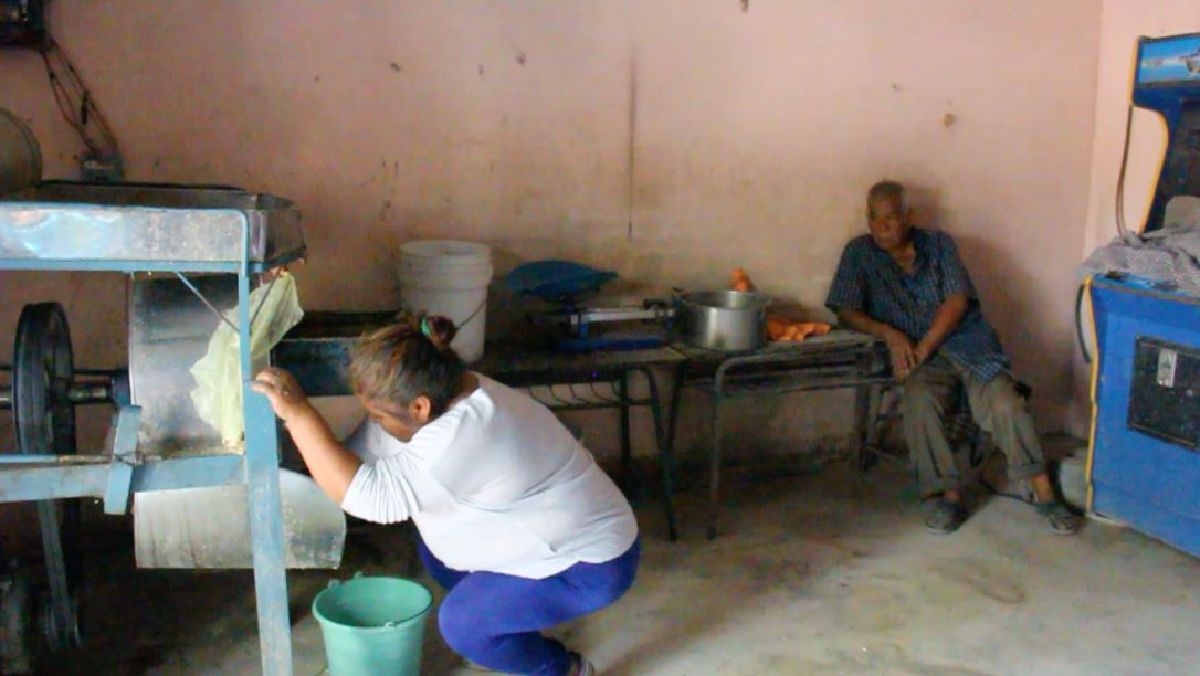 Al menos siete molinos de nixtamal en Xoxocotla presentan irregularidades