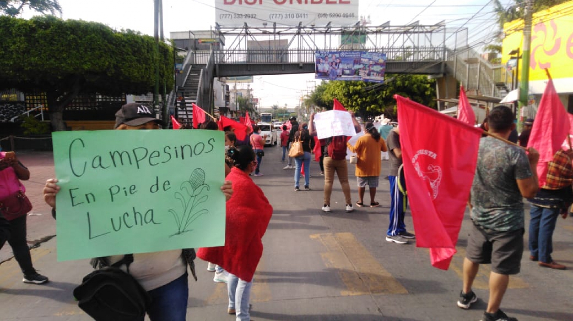 Se manifiestan antorchistas en Cuernavaca; piden entrega de fertilizantes