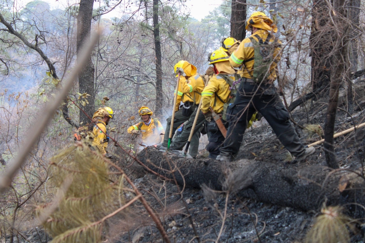 90% de control y 80% de liquidación de incendio forestal en Tepoztlán límites con Tlayacapan: EEMI
