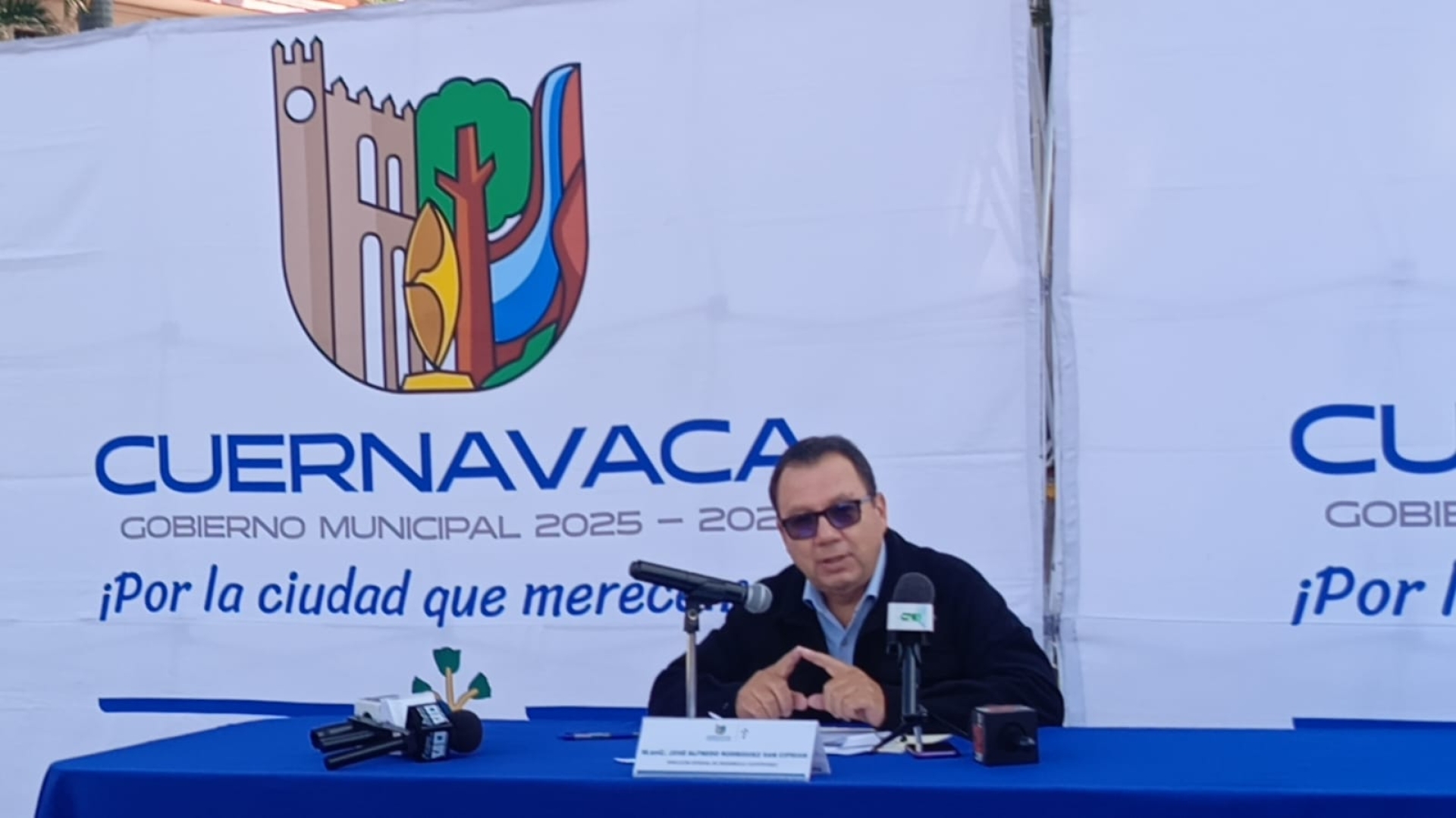 Enfermos, secos o colapsados, mayoría de árboles de predio donde se construirá templo en Reforma: Desarrollo Sustentable