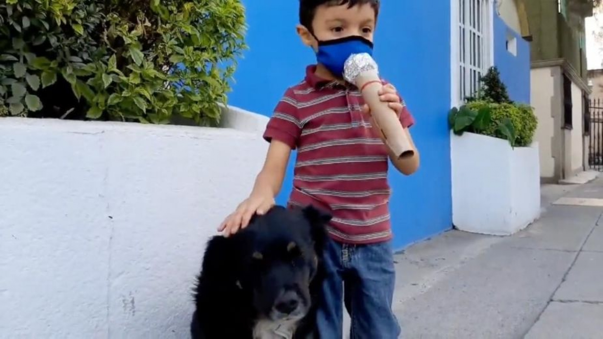 Niño realiza reportaje sobre perritos de la calle y se hace Viral