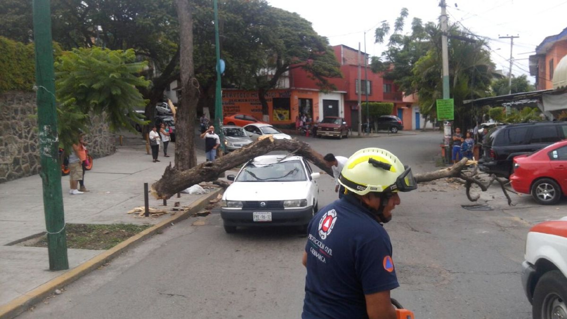 Cae rama de árbol sobre un auto; no hubo heridos