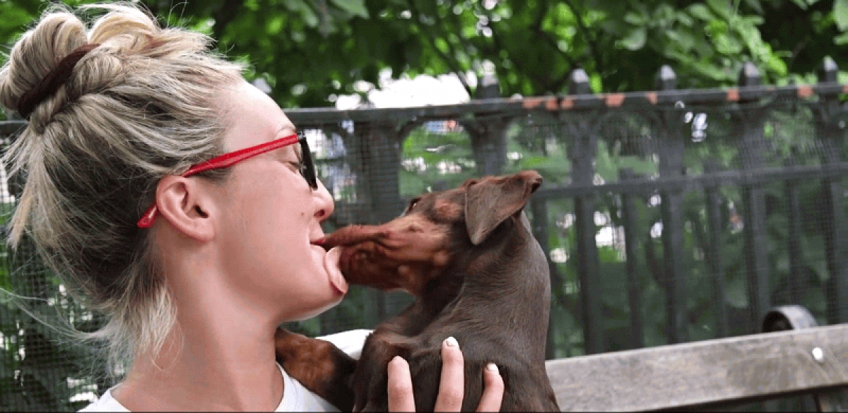 Por qué a los perros les gusta lamernos la cara (y por qué deberíamos evitarlo)